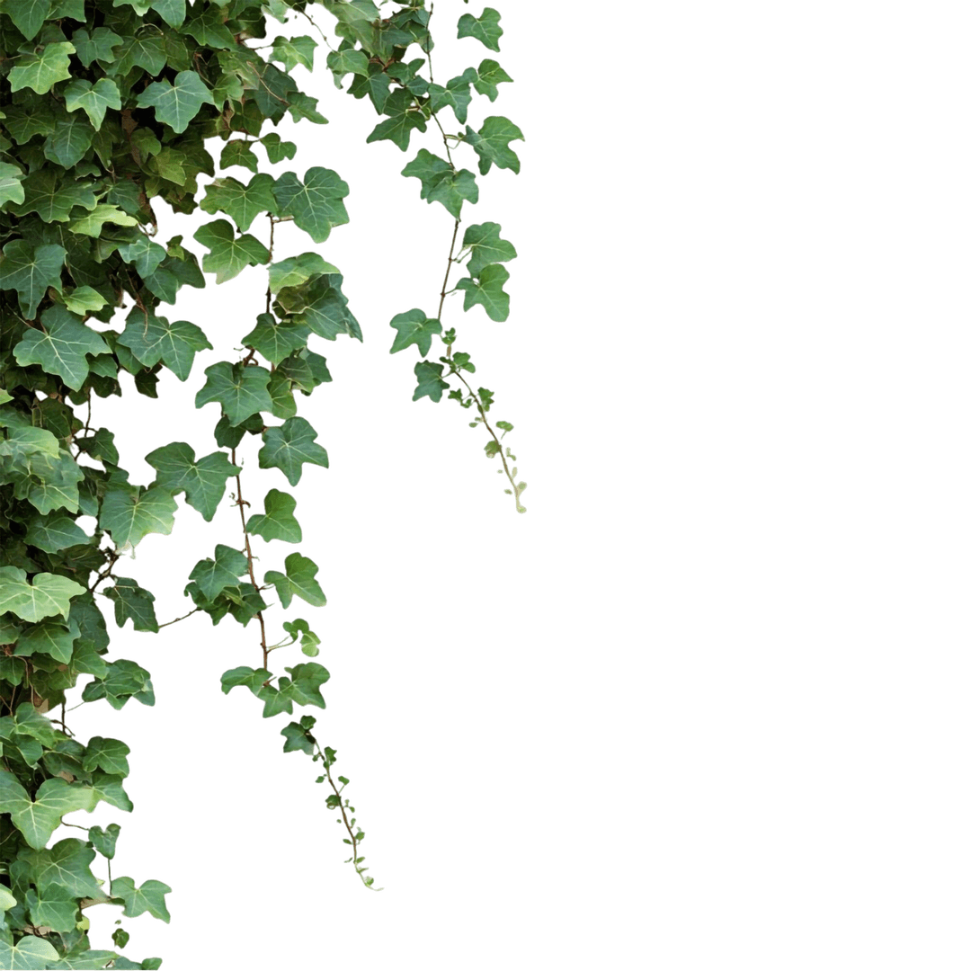 Vines Left